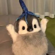 KaktusCrafter-de