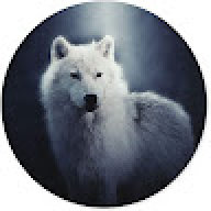 Kaufloand_Manager
