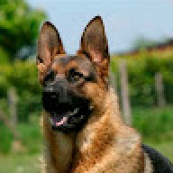 dorus15gamer
