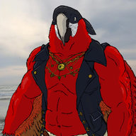 DG_Guacamaya