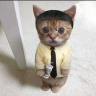 UnlustigerLiam