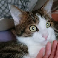 iam_kater