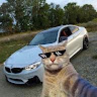 MineCatVR