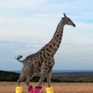 locogiraffe