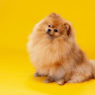 Baluuuuu