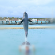 YouArentMyOcean