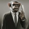 decomonkey