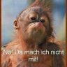 Beispieler-K