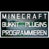 RaidProgramming