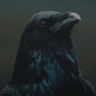 Severus
