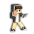 DevAlexHD