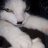 Katmy_HDI