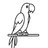 Free_Parrot