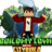 BuildMyTownDE