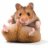 Hamsterboy